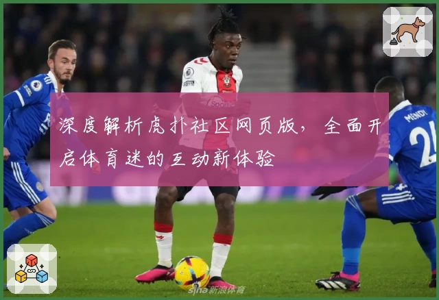 深度解析虎扑社区网页版，全面开启体育迷的互动新体验